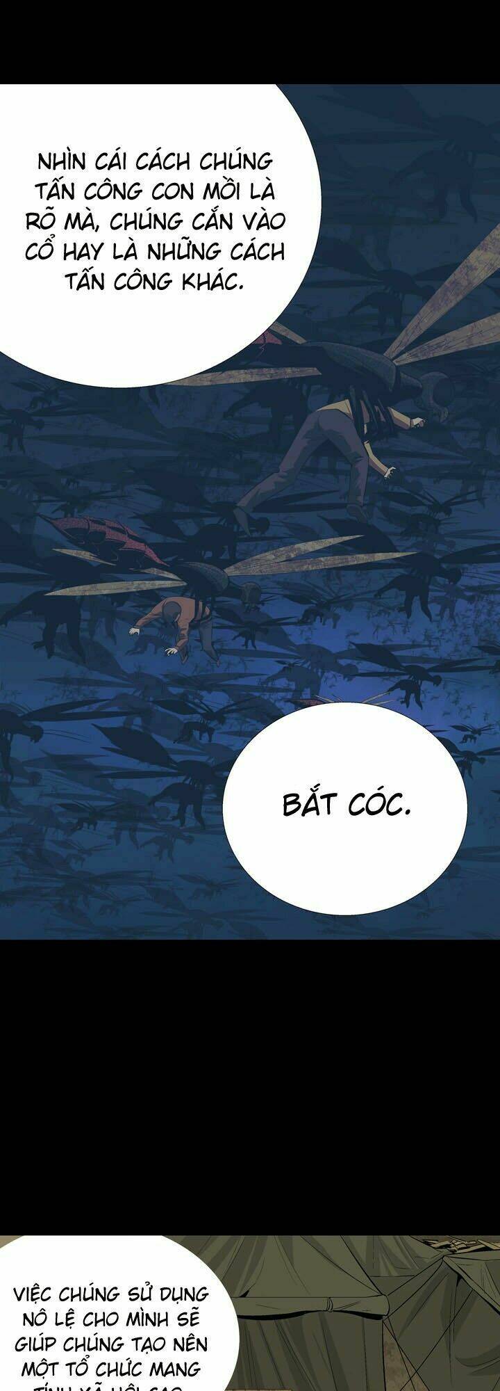 Thảm Họa Ong Độc Chapter 30 - Trang 2