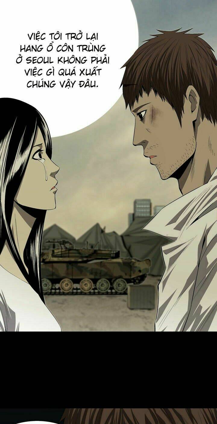 Thảm Họa Ong Độc Chapter 31 - Trang 2