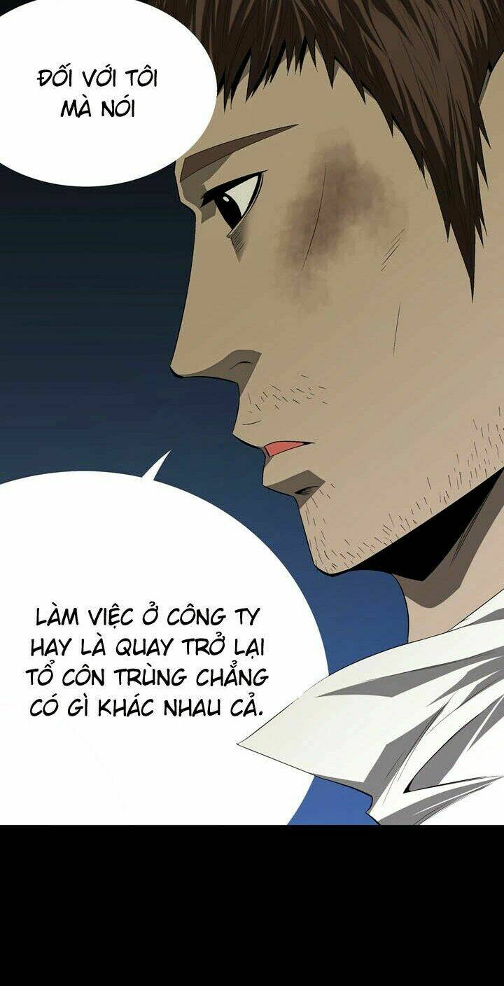 Thảm Họa Ong Độc Chapter 31 - Trang 2