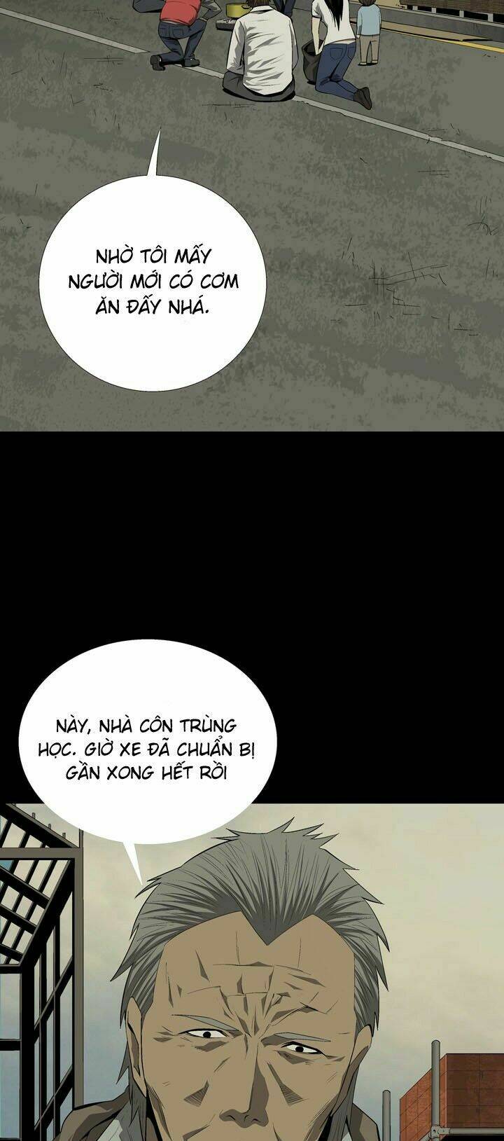 Thảm Họa Ong Độc Chapter 32 - Trang 2