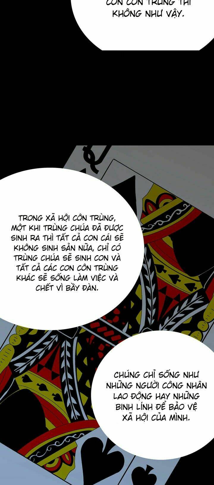 Thảm Họa Ong Độc Chapter 32 - Trang 2