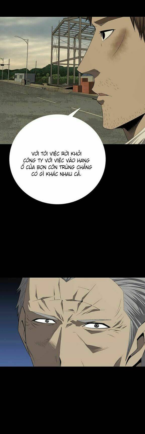 Thảm Họa Ong Độc Chapter 33 - Trang 2
