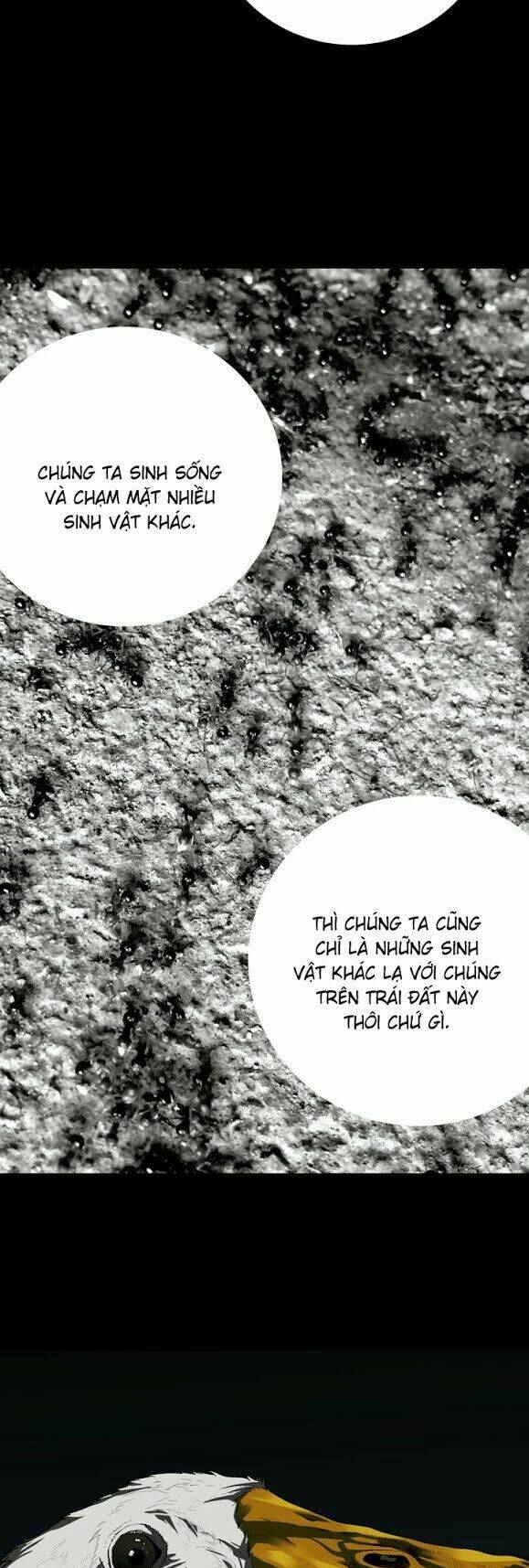 Thảm Họa Ong Độc Chapter 33 - Trang 2