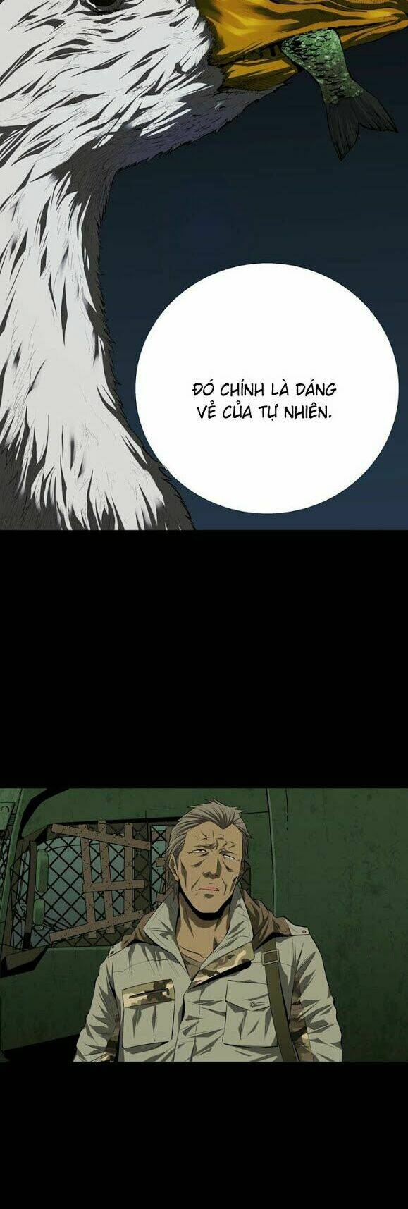 Thảm Họa Ong Độc Chapter 33 - Trang 2