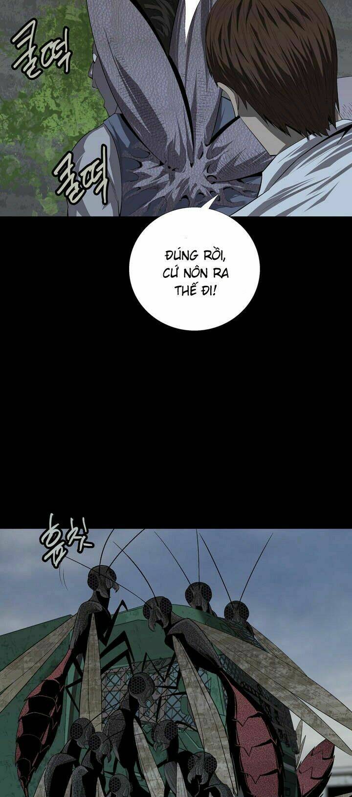 Thảm Họa Ong Độc Chapter 36 - Trang 2