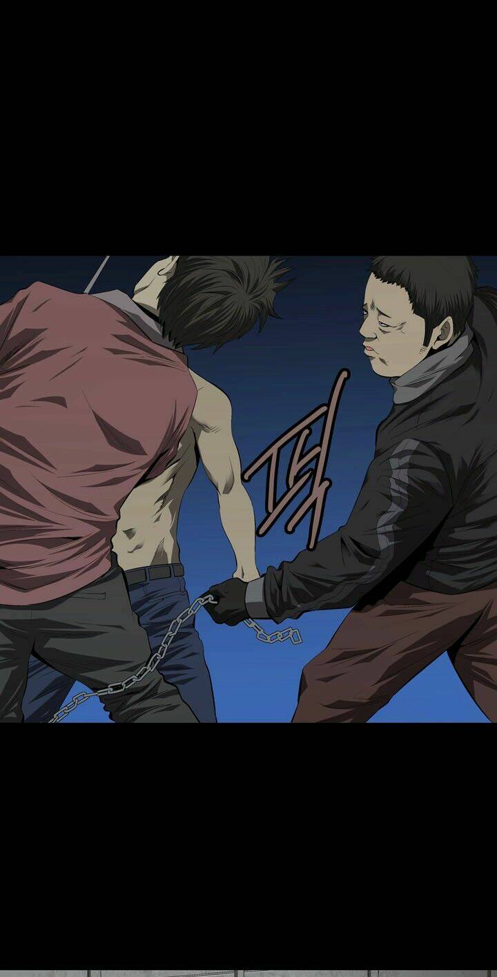 Thảm Họa Ong Độc Chapter 37 - Trang 2