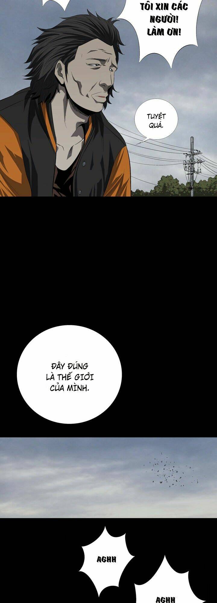 Thảm Họa Ong Độc Chapter 37 - Trang 2