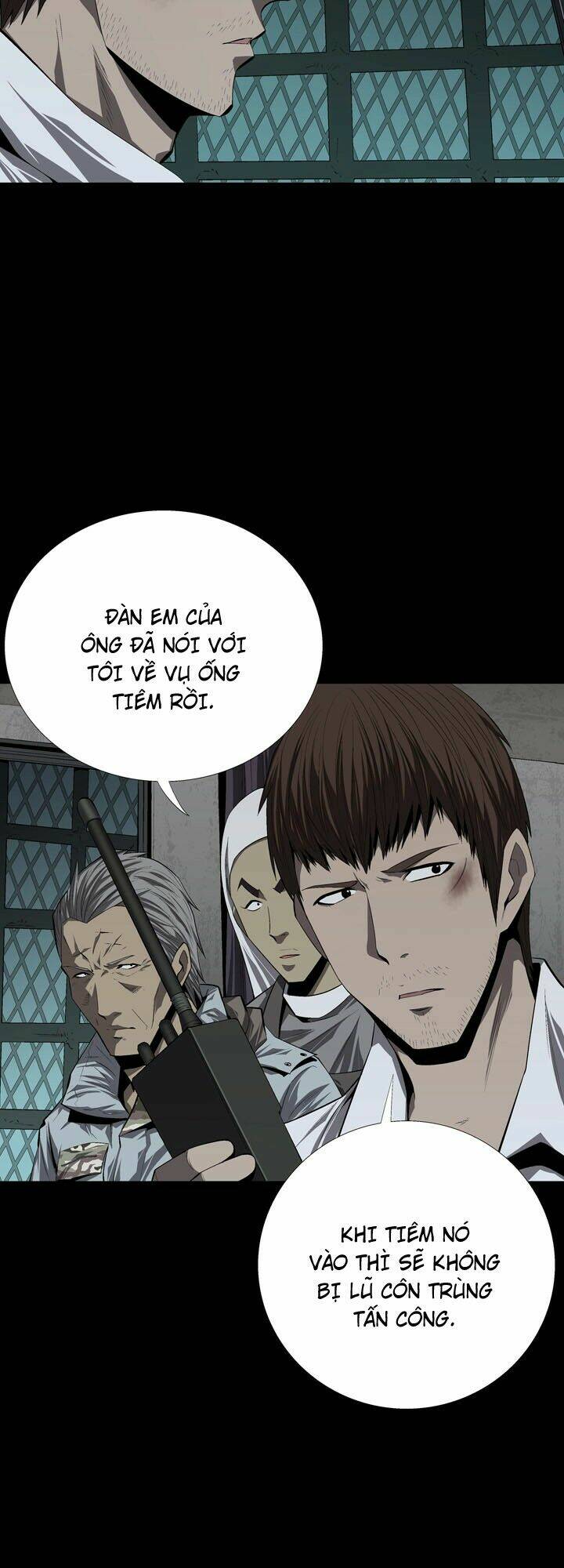 Thảm Họa Ong Độc Chapter 39 - Trang 2