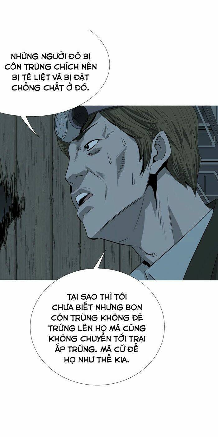 Thảm Họa Ong Độc Chapter 4 - Trang 2