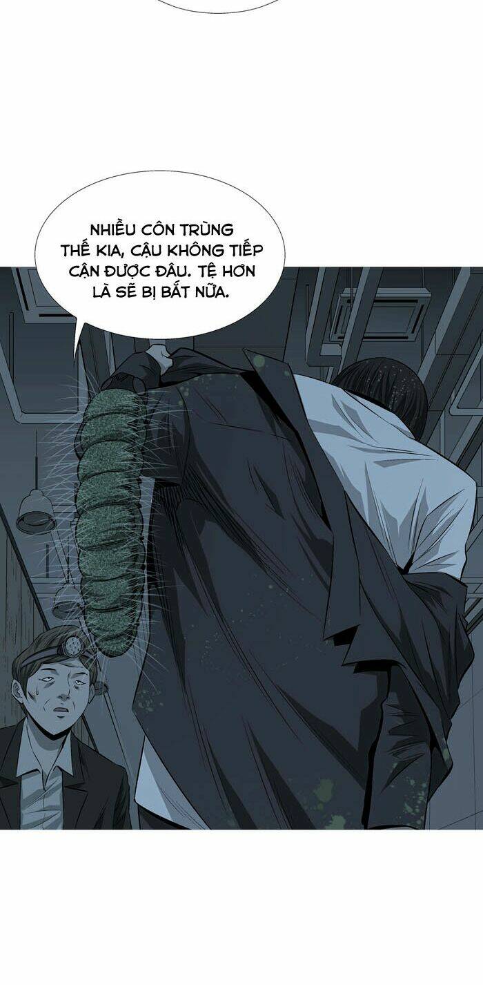 Thảm Họa Ong Độc Chapter 4 - Trang 2