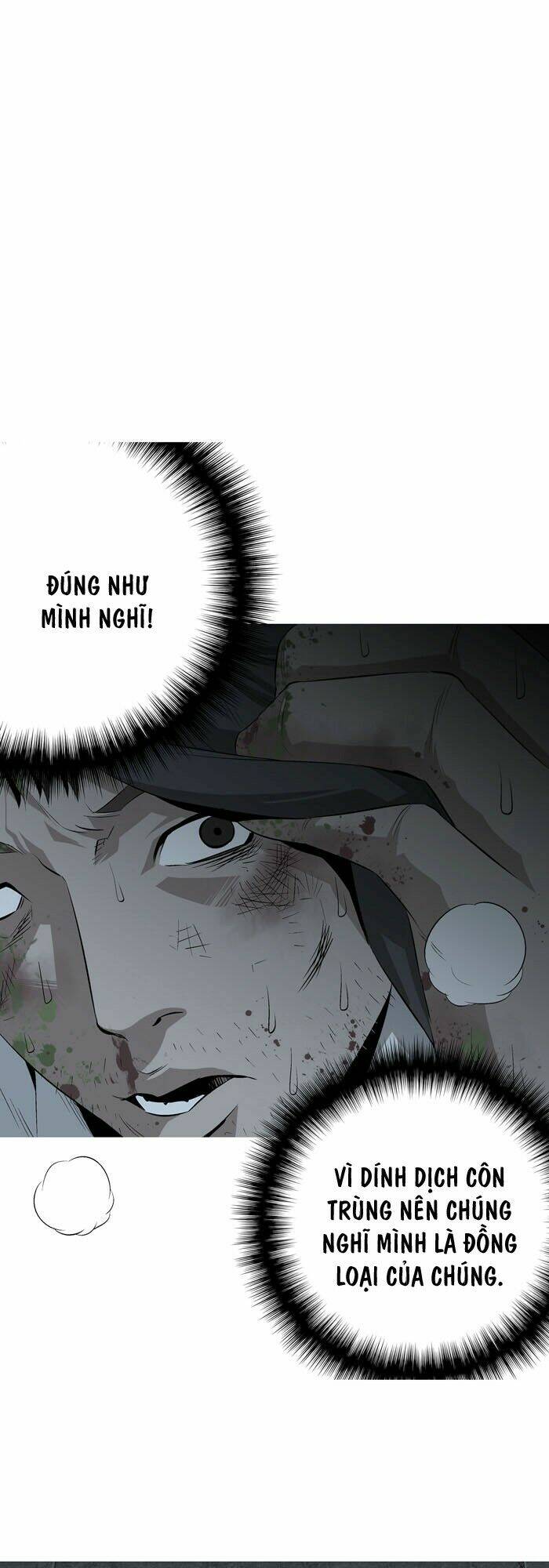 Thảm Họa Ong Độc Chapter 4 - Trang 2