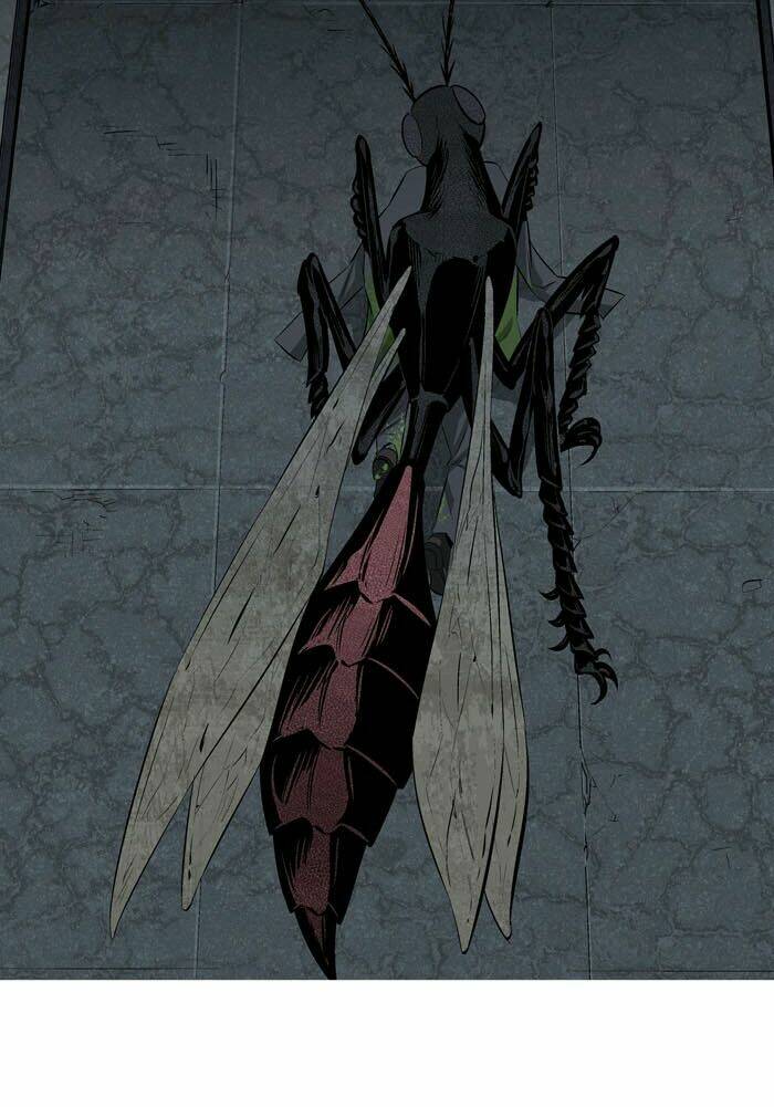 Thảm Họa Ong Độc Chapter 4 - Trang 2