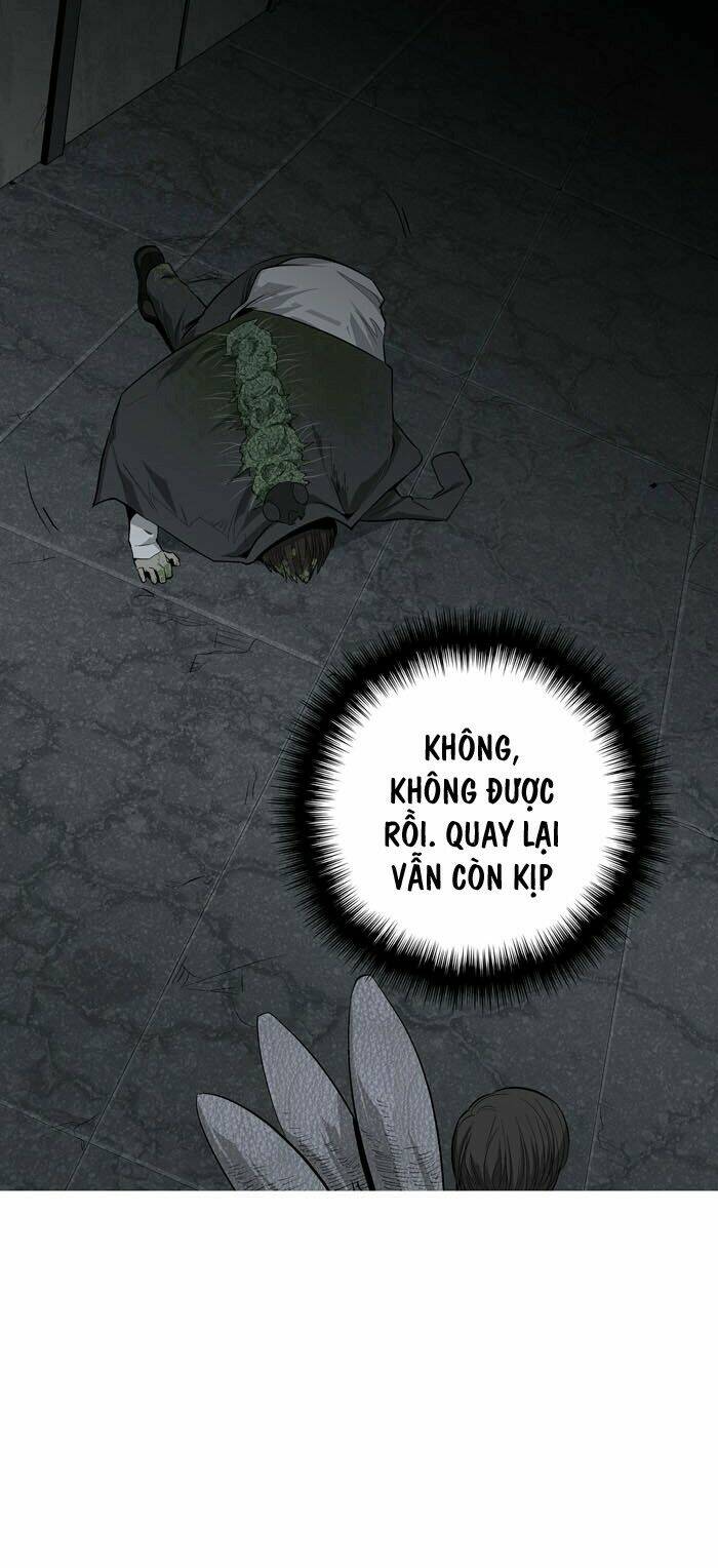 Thảm Họa Ong Độc Chapter 4 - Trang 2