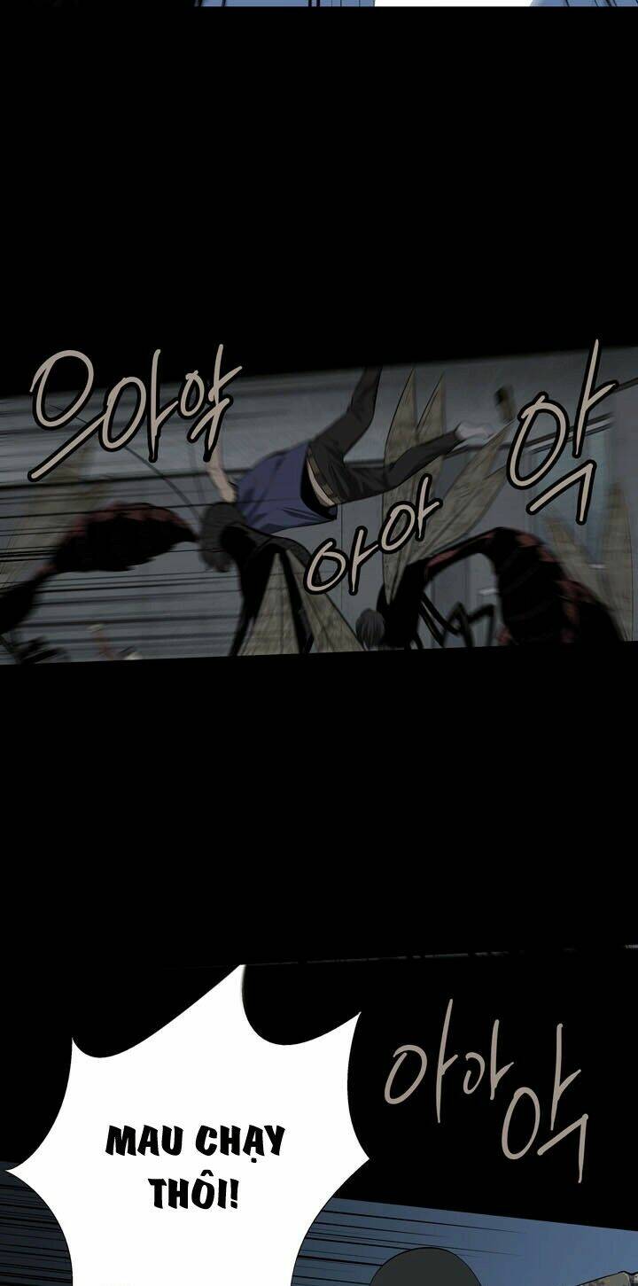 Thảm Họa Ong Độc Chapter 42 - Trang 2