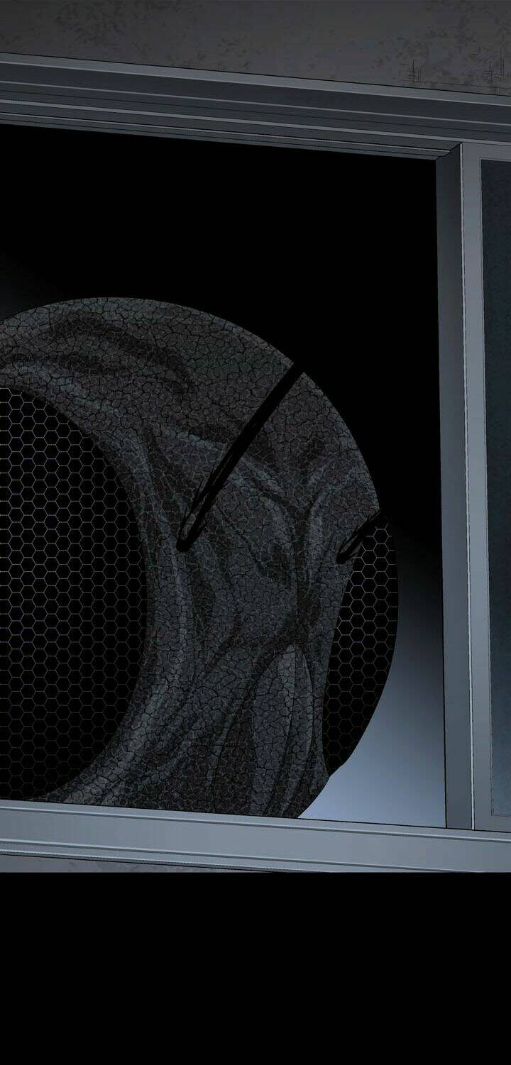 Thảm Họa Ong Độc Chapter 42 - Trang 2