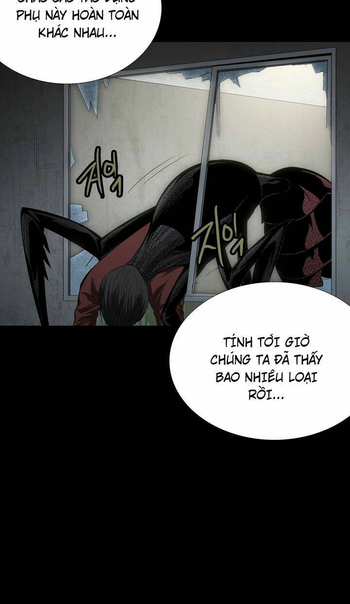 Thảm Họa Ong Độc Chapter 43 - Trang 2