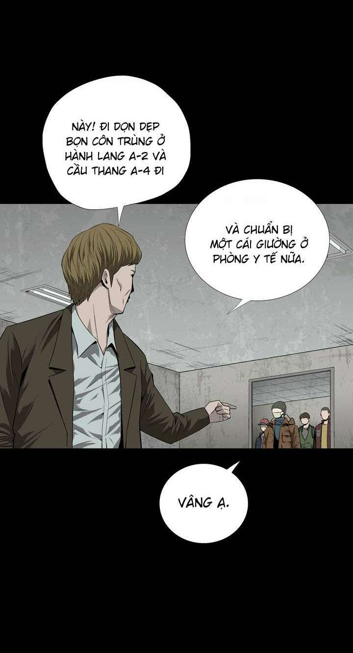 Thảm Họa Ong Độc Chapter 44 - Trang 2