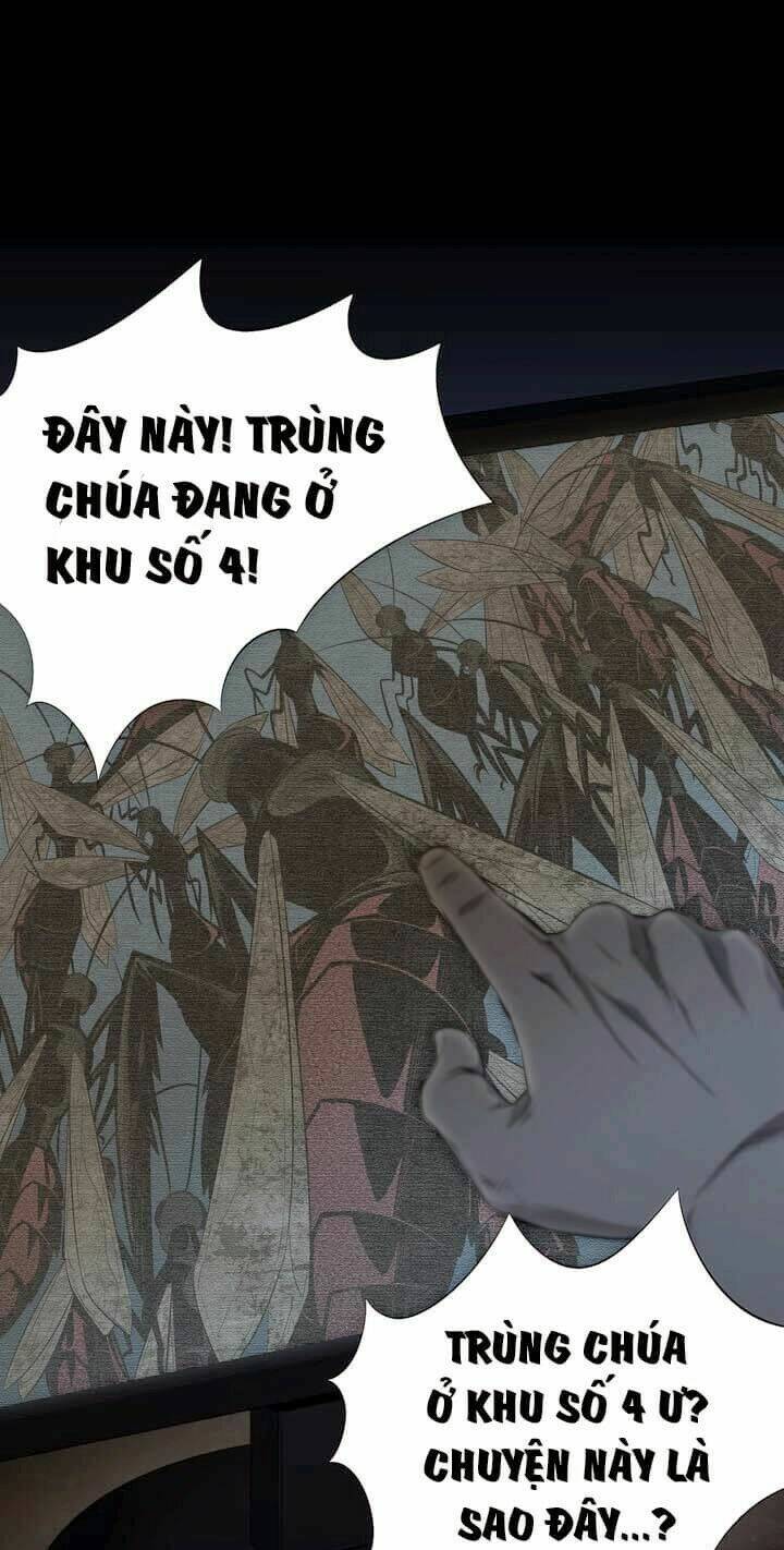Thảm Họa Ong Độc Chapter 49 - Trang 2
