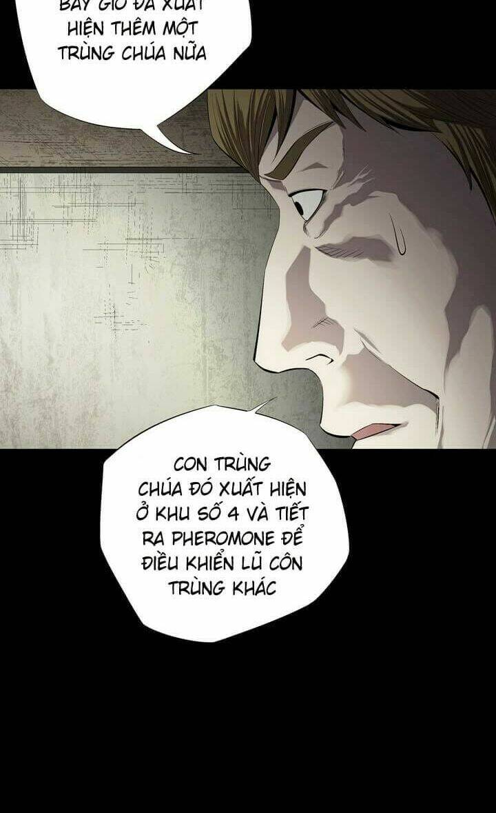 Thảm Họa Ong Độc Chapter 49 - Trang 2