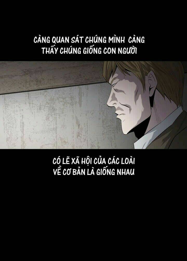 Thảm Họa Ong Độc Chapter 49 - Trang 2