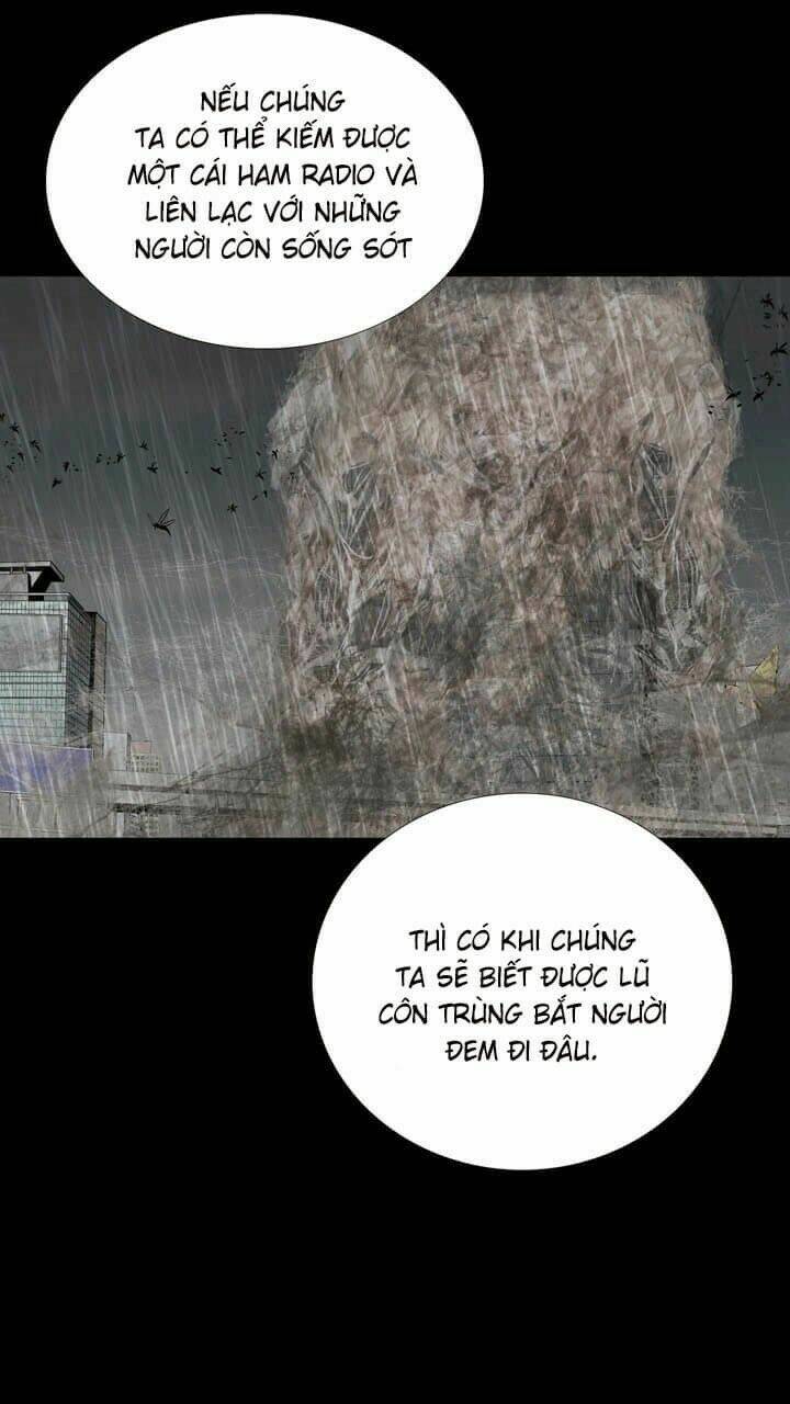 Thảm Họa Ong Độc Chapter 49 - Trang 2