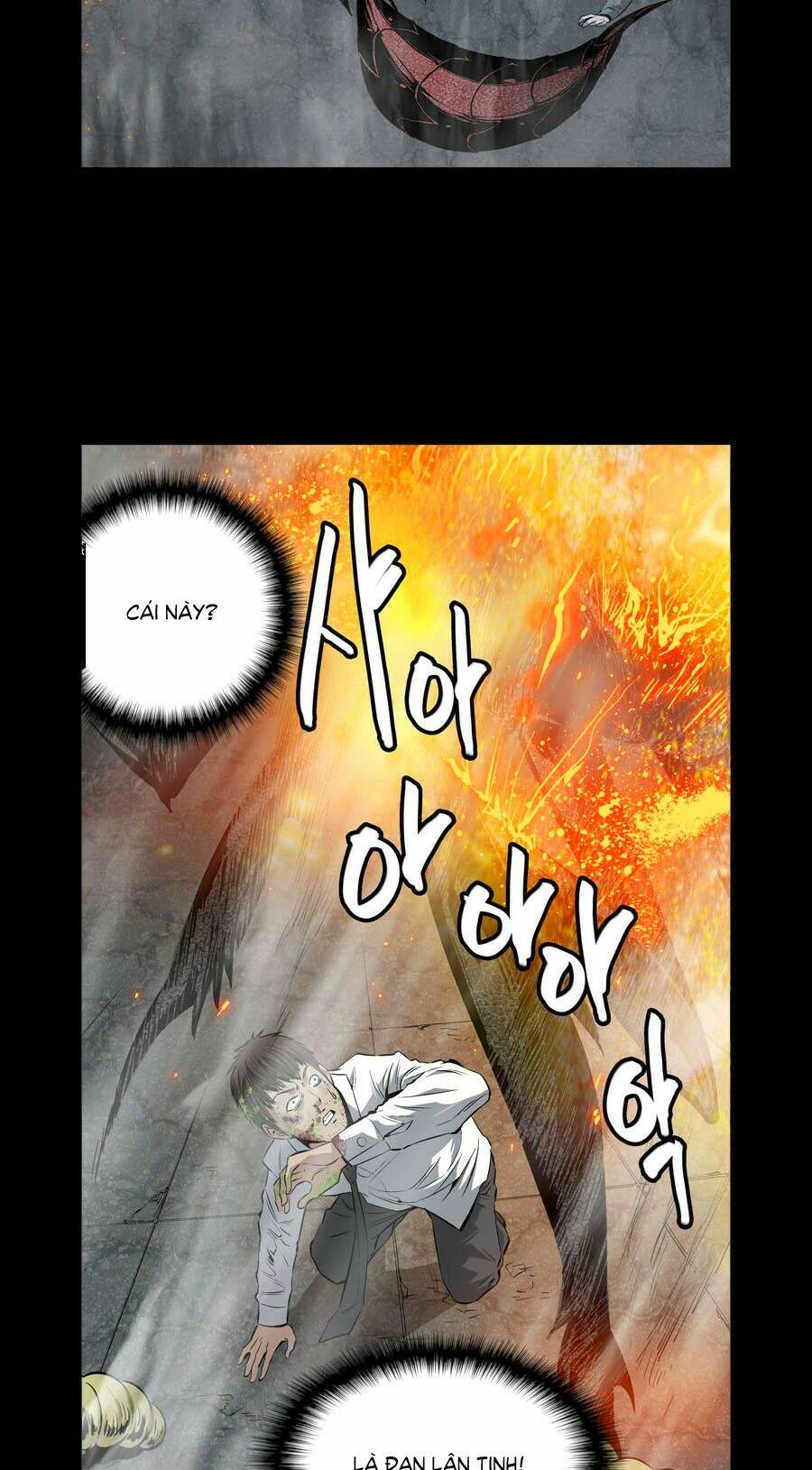 Thảm Họa Ong Độc Chapter 5 - Trang 2