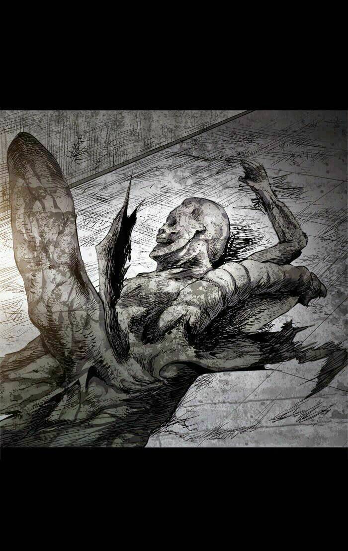 Thảm Họa Ong Độc Chapter 50 - Trang 2