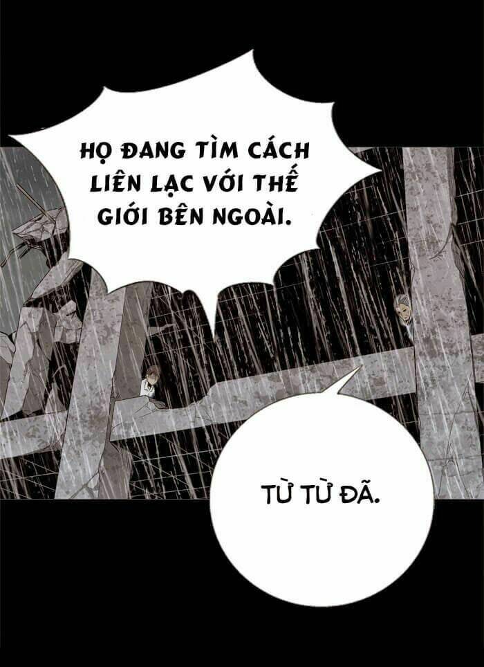 Thảm Họa Ong Độc Chapter 50 - Trang 2