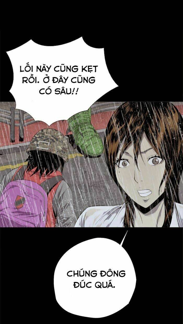 Thảm Họa Ong Độc Chapter 54 - Trang 2