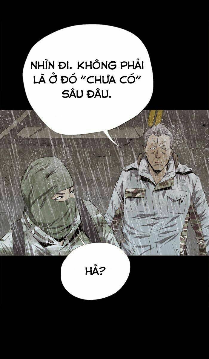 Thảm Họa Ong Độc Chapter 54 - Trang 2