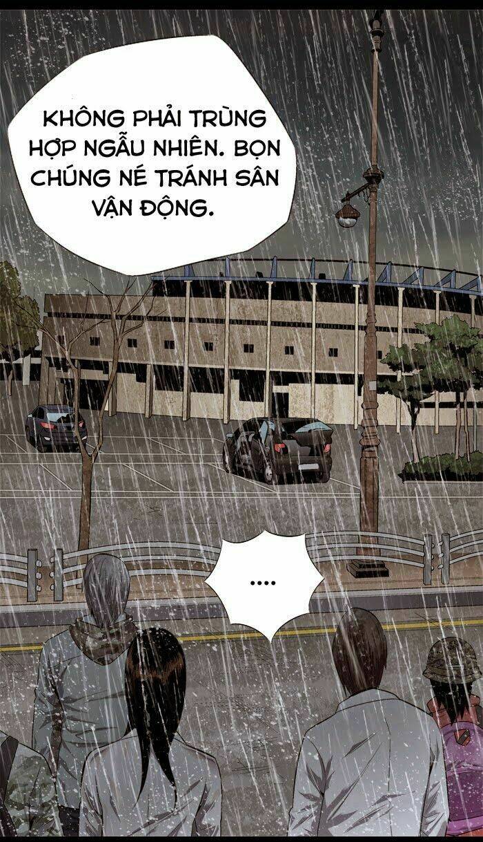 Thảm Họa Ong Độc Chapter 54 - Trang 2