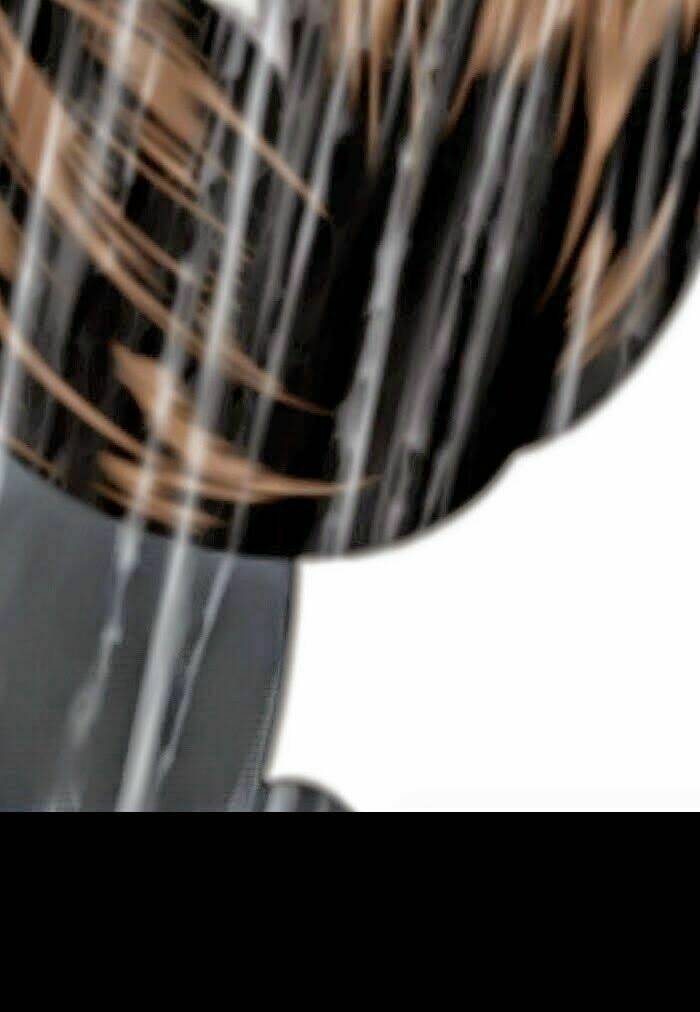 Thảm Họa Ong Độc Chapter 54 - Trang 2