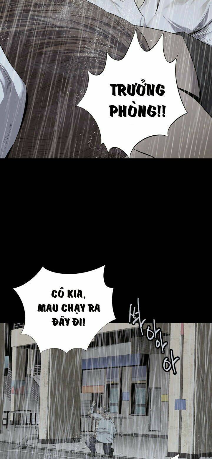 Thảm Họa Ong Độc Chapter 55 - Trang 2