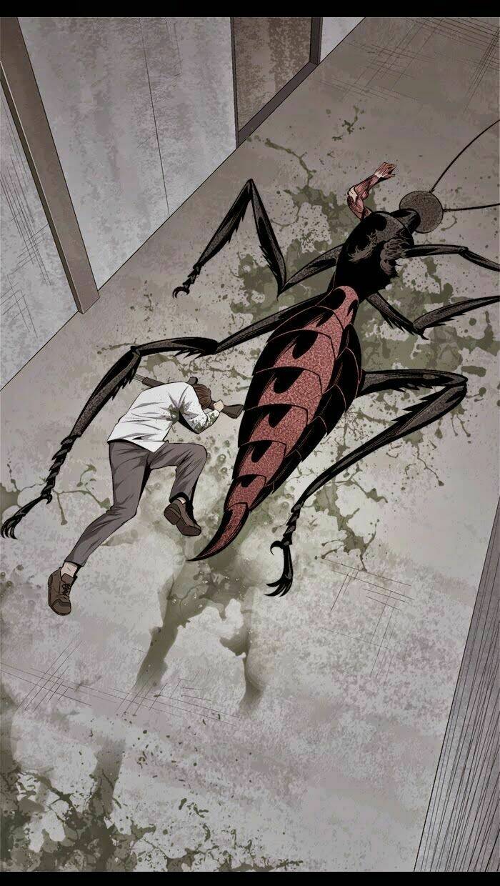 Thảm Họa Ong Độc Chapter 57 - Trang 2