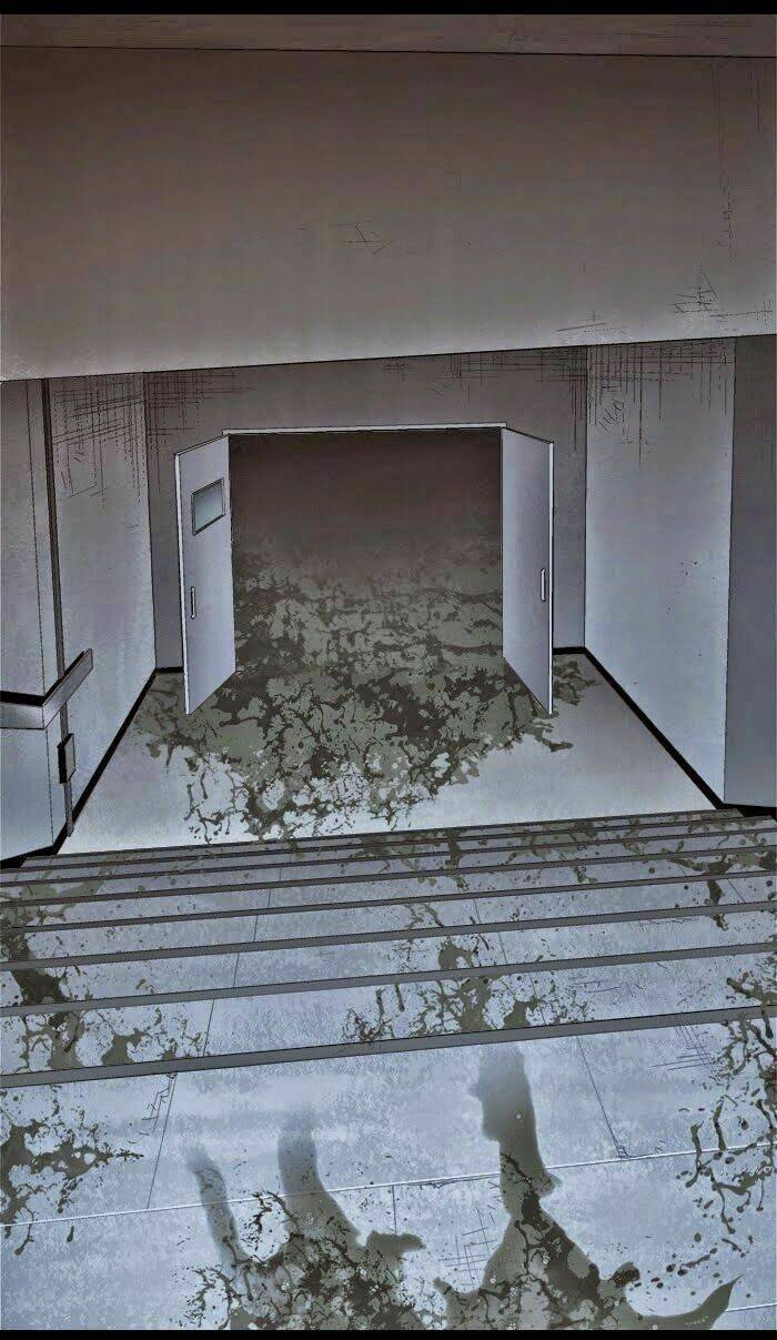 Thảm Họa Ong Độc Chapter 57 - Trang 2