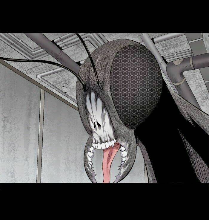 Thảm Họa Ong Độc Chapter 57 - Trang 2