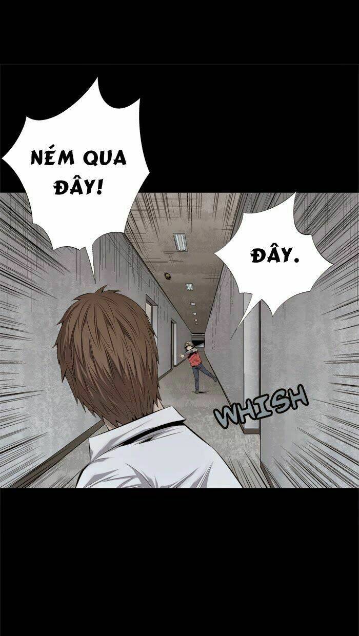 Thảm Họa Ong Độc Chapter 58 - Trang 2