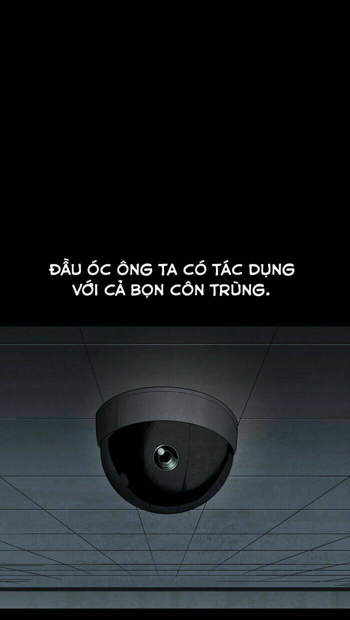 Thảm Họa Ong Độc Chapter 59 - Trang 2