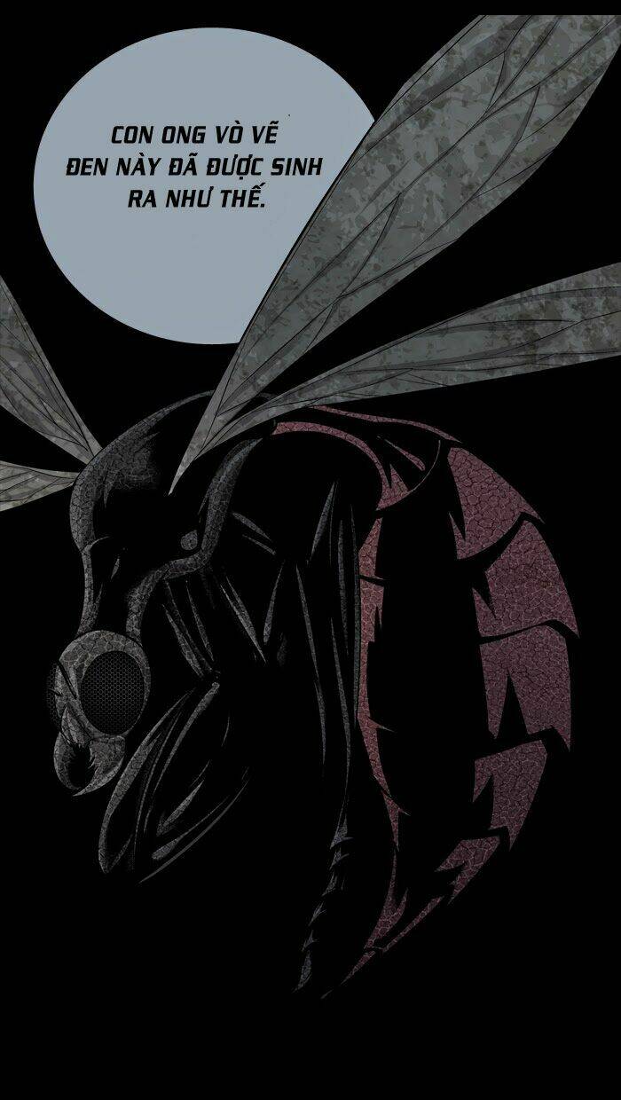 Thảm Họa Ong Độc Chapter 59 - Trang 2
