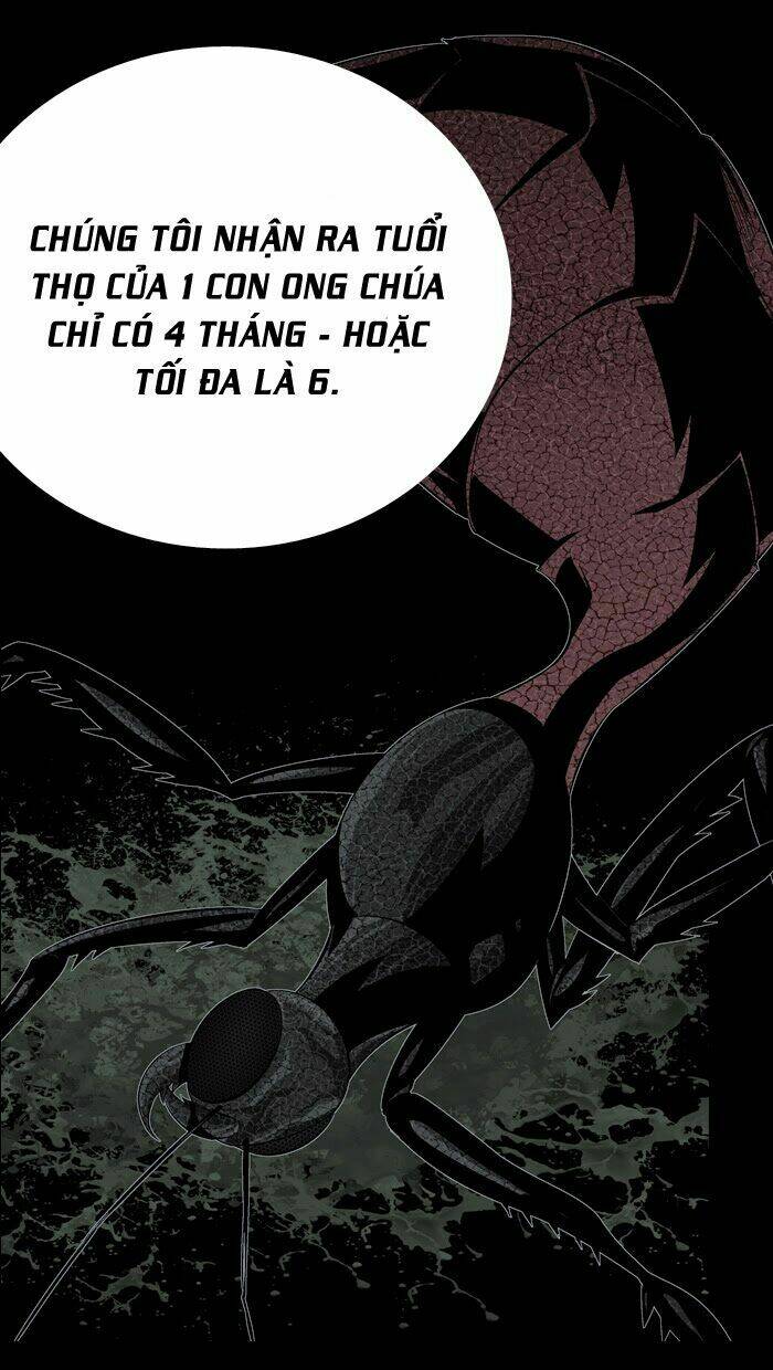 Thảm Họa Ong Độc Chapter 59 - Trang 2