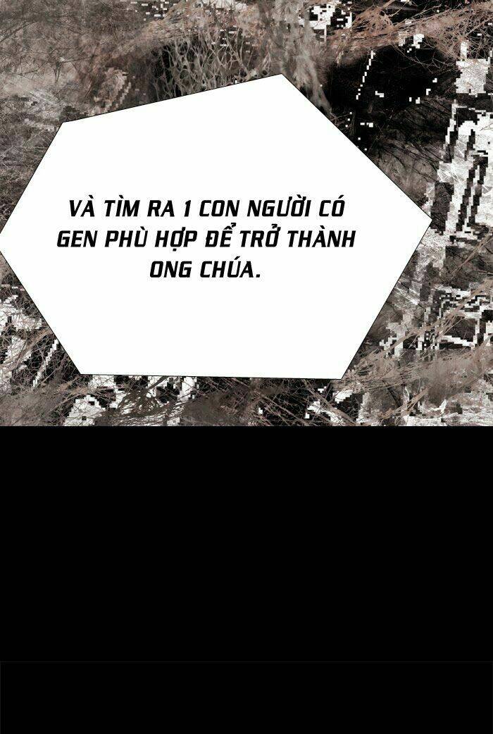 Thảm Họa Ong Độc Chapter 59 - Trang 2