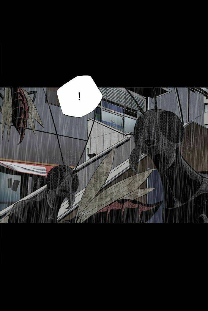 Thảm Họa Ong Độc Chapter 64 - Trang 2