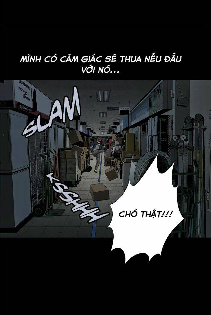Thảm Họa Ong Độc Chapter 64 - Trang 2