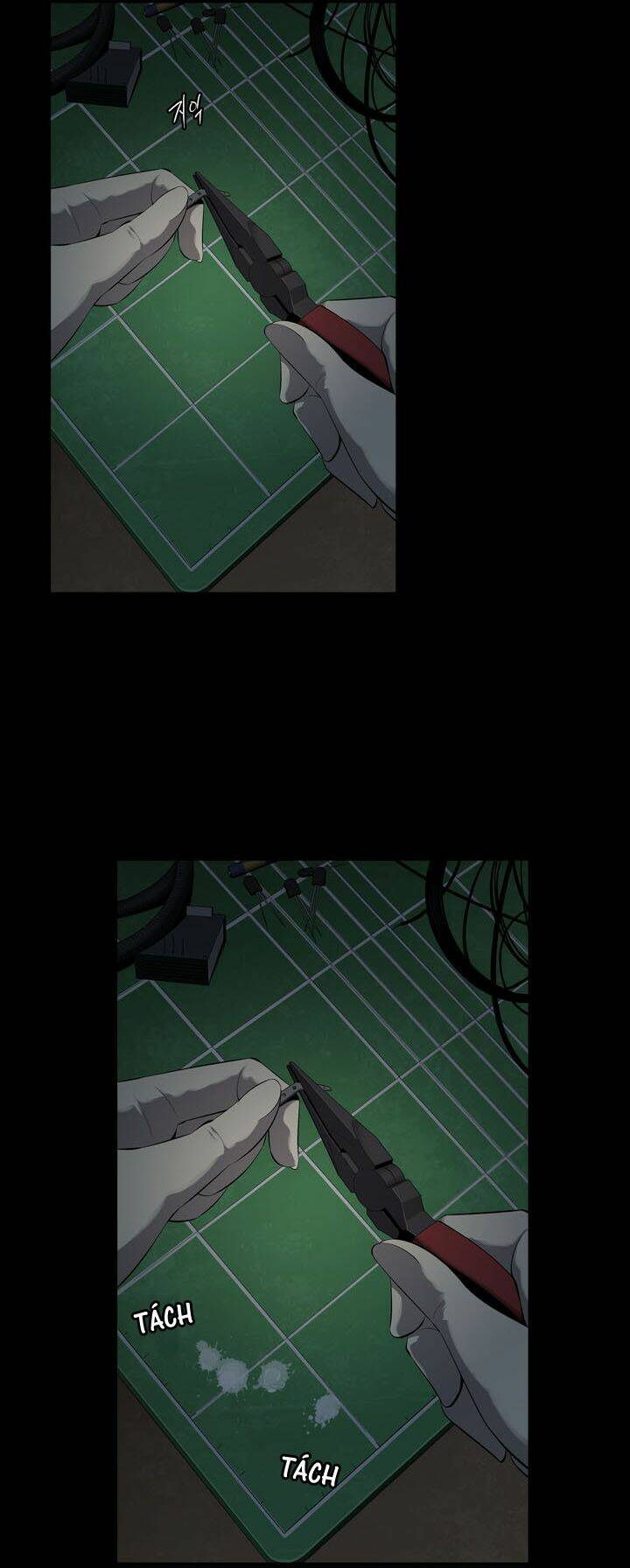 Thảm Họa Ong Độc Chapter 65 - Trang 2