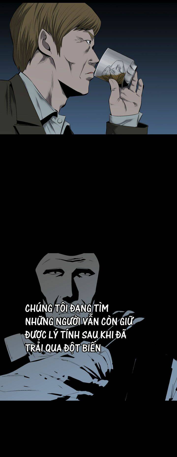 Thảm Họa Ong Độc Chapter 65 - Trang 2