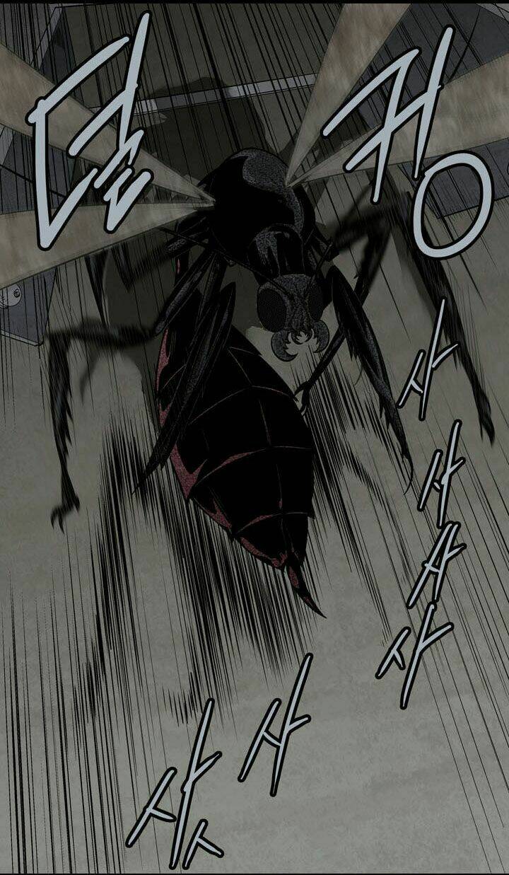 Thảm Họa Ong Độc Chapter 66 - Trang 2