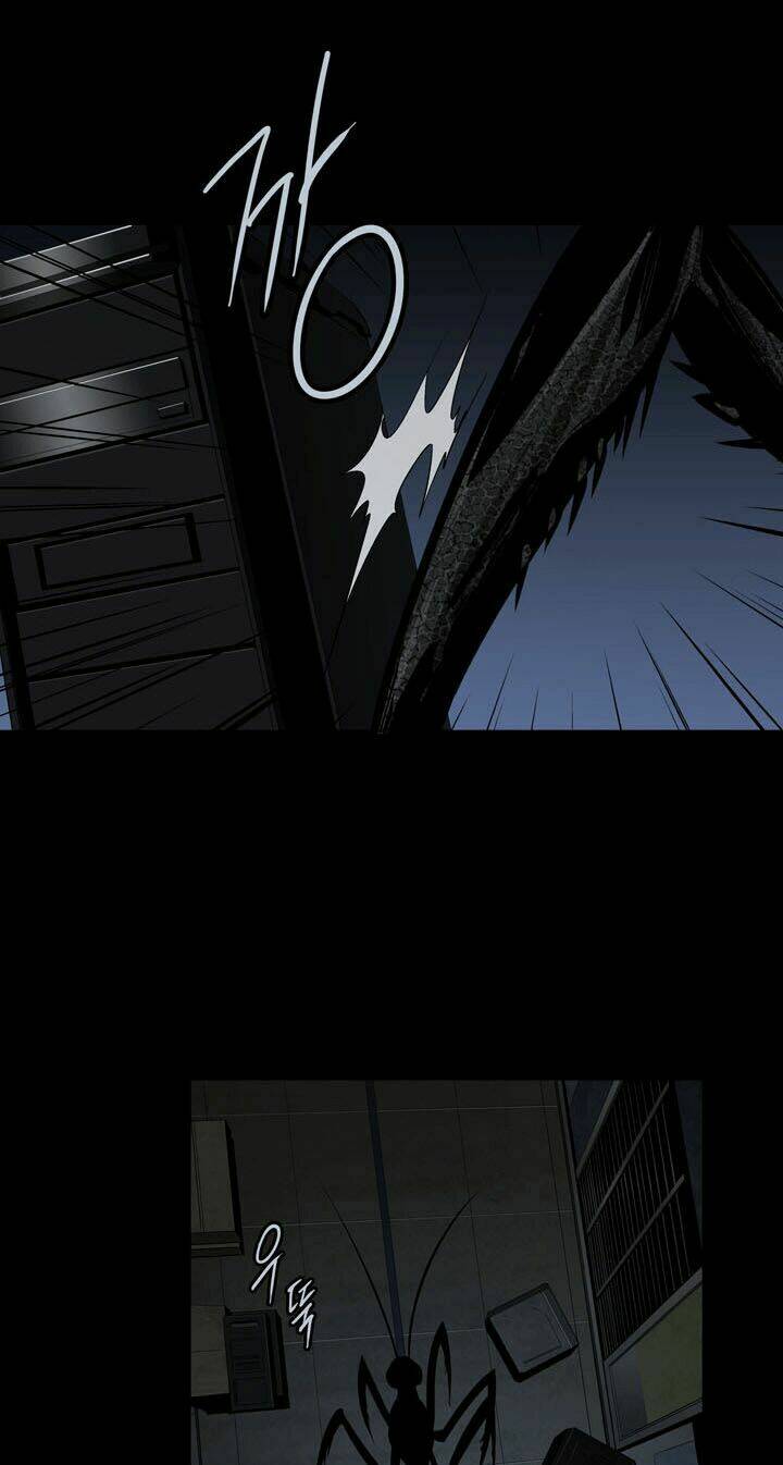 Thảm Họa Ong Độc Chapter 66 - Trang 2