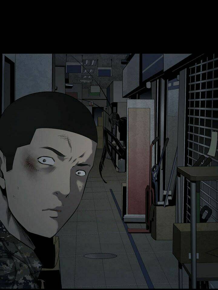 Thảm Họa Ong Độc Chapter 66 - Trang 2