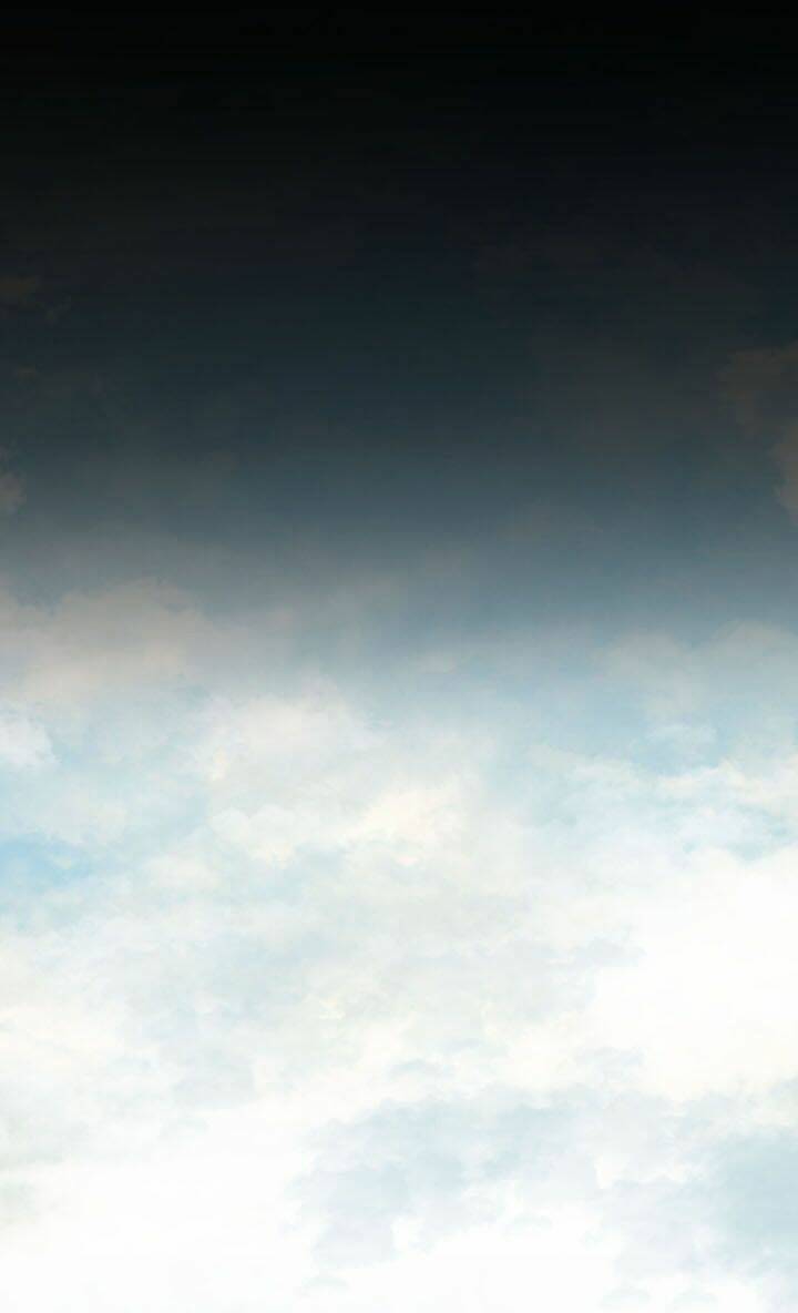 Thảm Họa Ong Độc Chapter 67 - Trang 2