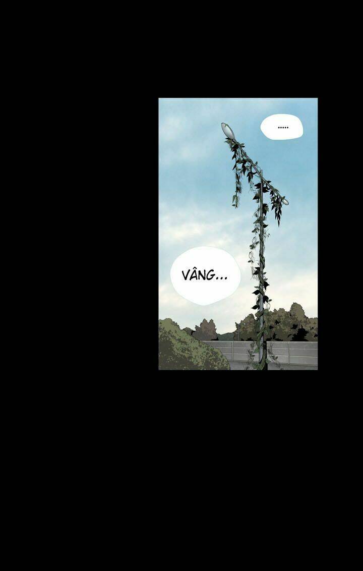 Thảm Họa Ong Độc Chapter 68 - Trang 2